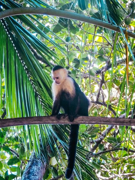 Viaje Costa Rica