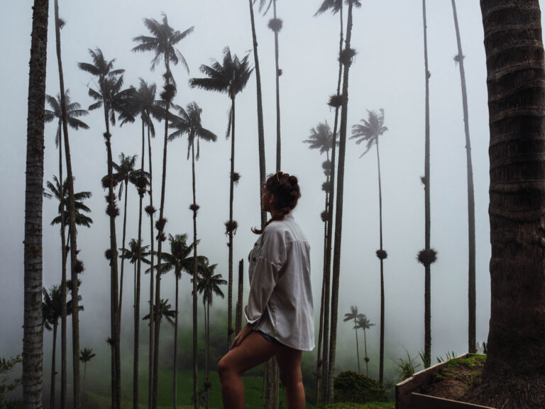 Valle de Cocora Colombia